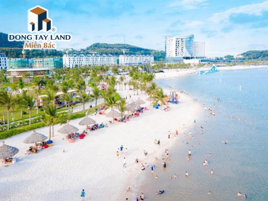 Lễ hội Văn hóa biển đảo Việt Nam được tổ chức tại Dragon ocean đồ sơn