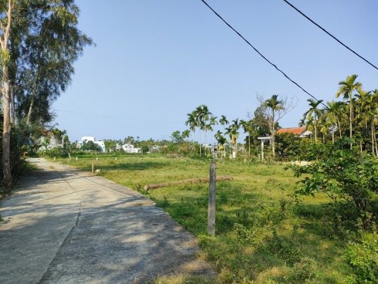 Có cấp sổ đỏ cho đất hoang được giao để sản xuất hay không?